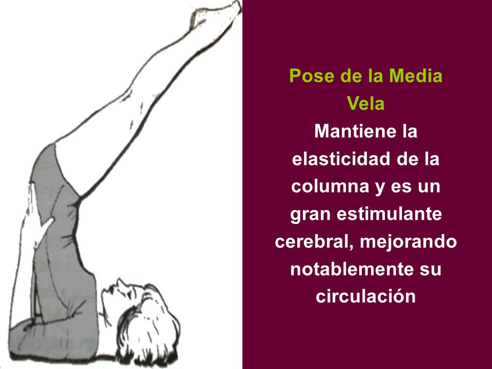 Pose de la Media Vela Mantiene la elasticidad de la columna y es un gran estimulante cerebral, mejorando notablemente su circulación