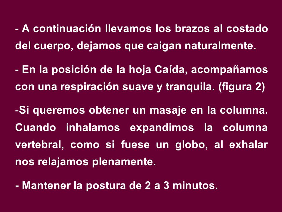 A continuación llevamos los brazos al costado del cuerpo, dejamos que caigan naturalmente.
