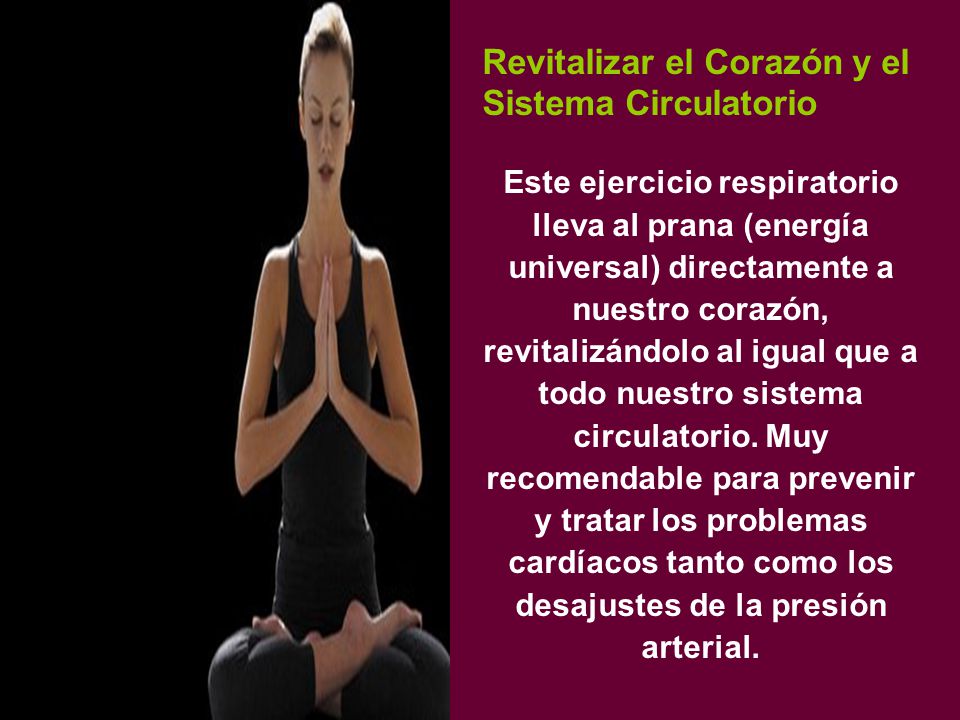 Revitalizar el Corazón y el Sistema Circulatorio