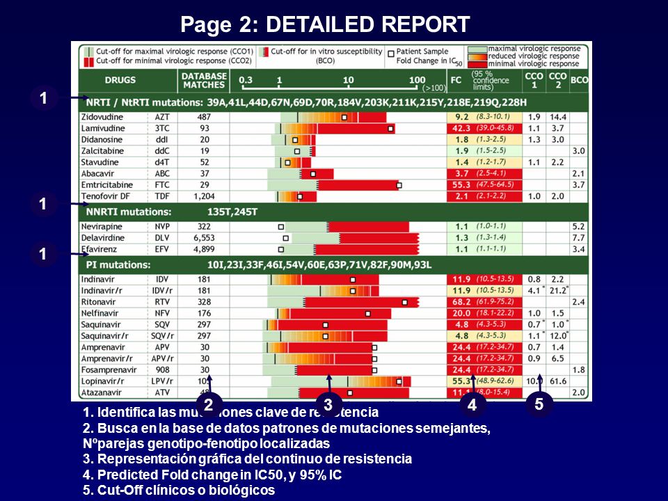 Page 2: DETAILED REPORT Identifica las mutaciones clave de resistencia.