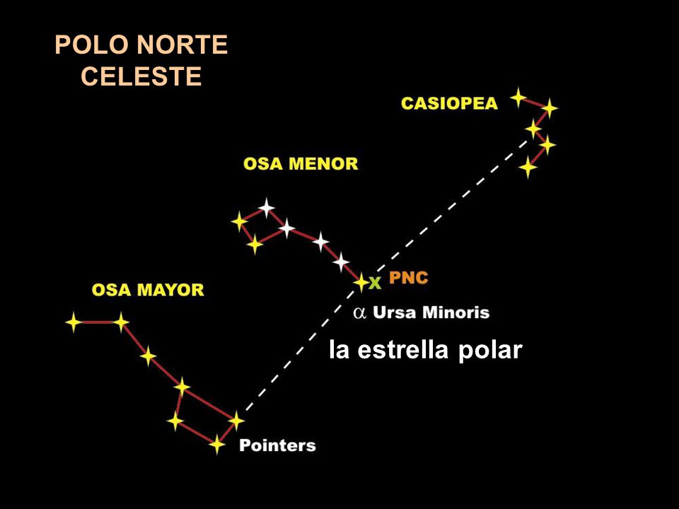 POLO NORTE CELESTE la estrella polar
