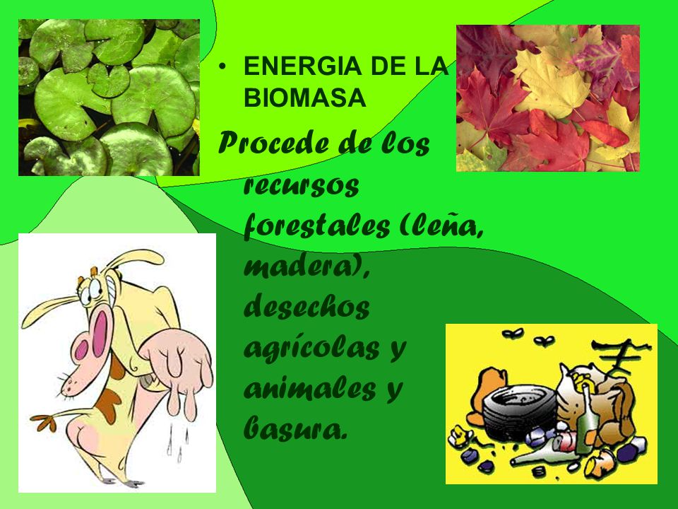 ENERGIA DE LA BIOMASA Procede de los recursos forestales (leña, madera), desechos agrícolas y animales y basura.