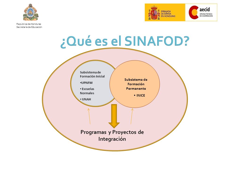 ¿Qué es el SINAFOD Programas y Proyectos de Integración