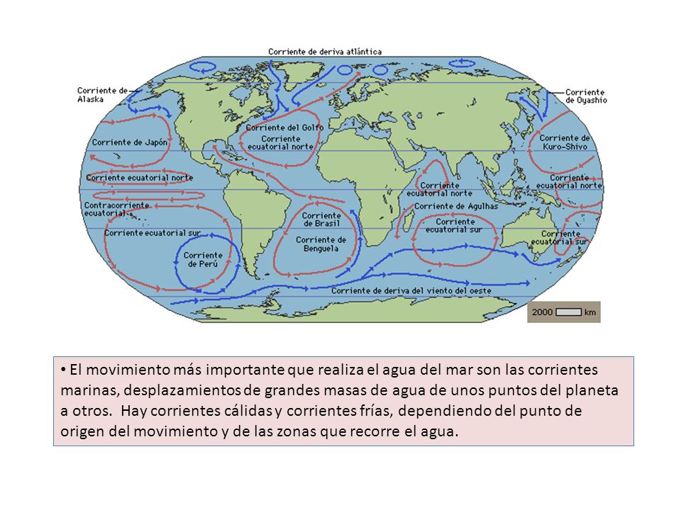 El movimiento más importante que realiza el agua del mar son las corrientes marinas, desplazamientos de grandes masas de agua de unos puntos del planeta a otros.