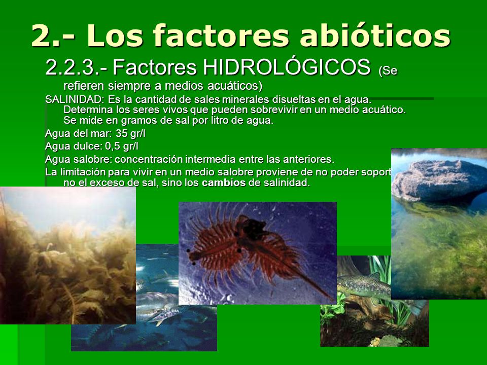 2.- Los factores abióticos