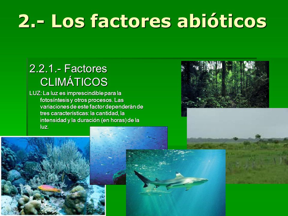 2.- Los factores abióticos