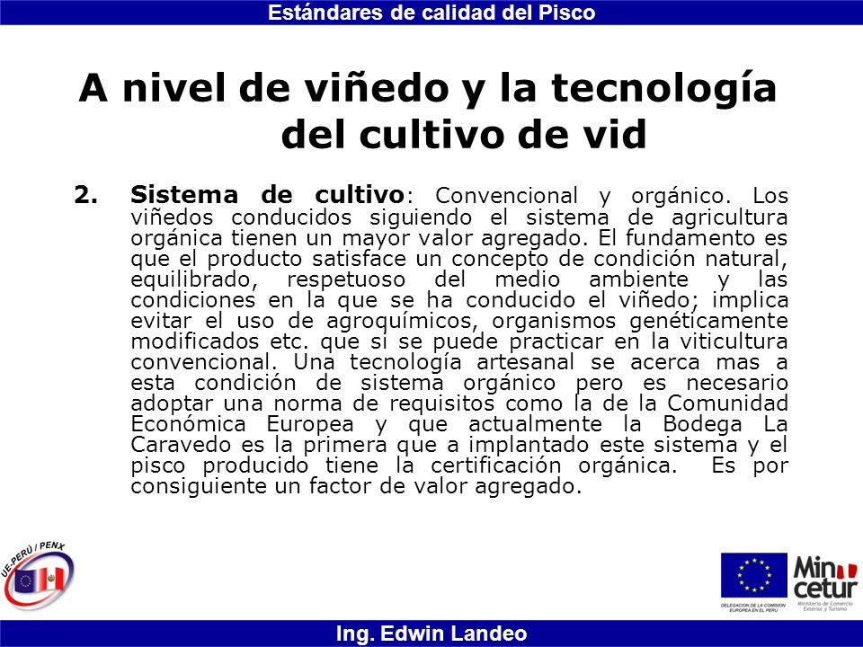A nivel de viñedo y la tecnología del cultivo de vid