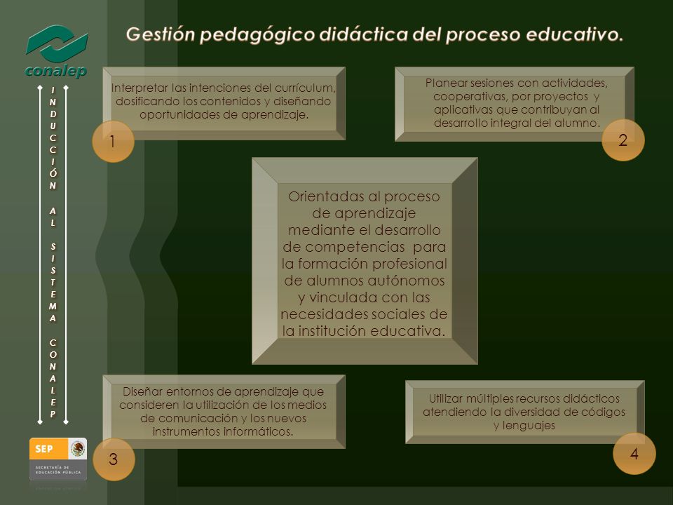 Gestión pedagógico didáctica del proceso educativo.