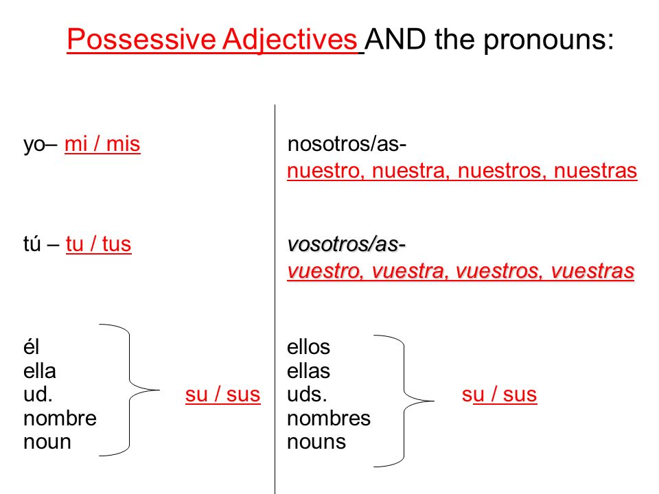 Possessive Adjectives AND the pronouns: