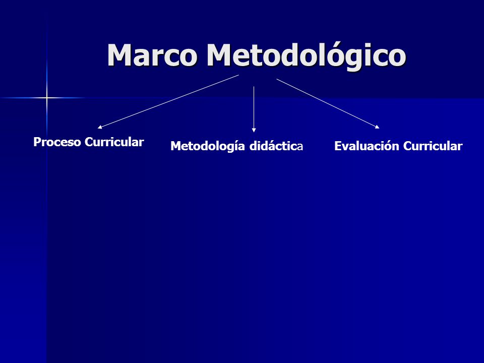 Marco Metodológico Proceso Curricular Metodología didáctica