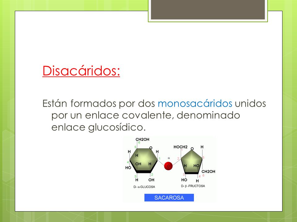 Disacáridos: Están formados por dos monosacáridos unidos por un enlace covalente, denominado enlace glucosídico.