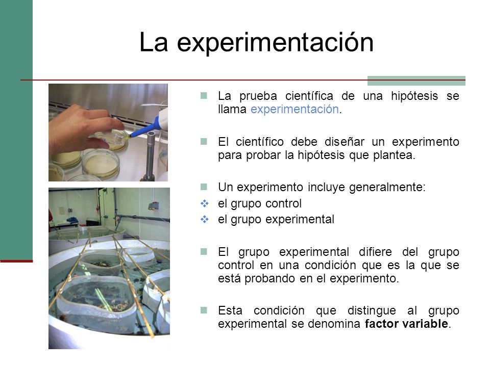 La experimentación La prueba científica de una hipótesis se llama experimentación.