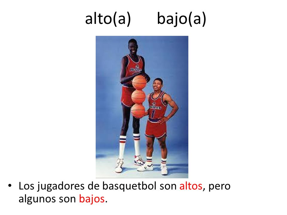 alto(a) bajo(a) Los jugadores de basquetbol son altos, pero algunos son bajos.