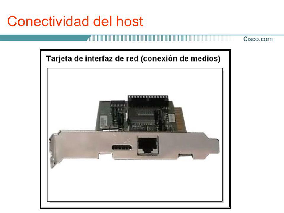 Conectividad del host El router, posee un conector AUI. Ese conector AUI. necesita conectarse a un cable Ethernet UTP Categoría 5.