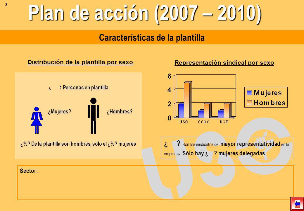 Plan de acción (2007 – 2010) Características de la plantilla