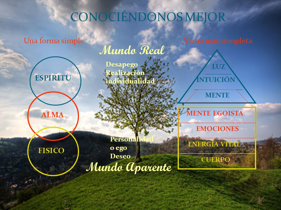 CONOCIÉNDONOS MEJOR Mundo Real Mundo Aparente Una forma simple