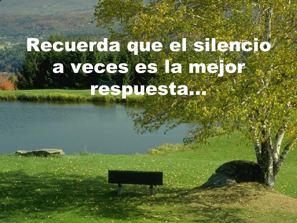 Recuerda que el silencio a veces es la mejor respuesta...