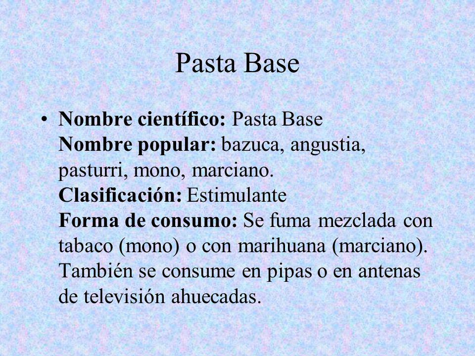 Pasta Base