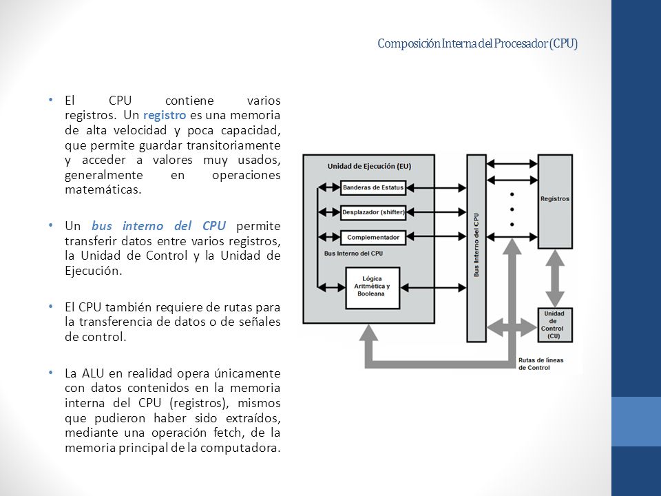 Composición Interna del Procesador (CPU)