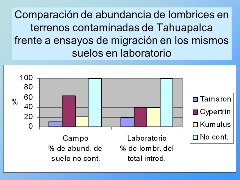 Comparación de abundancia de lombrices en terrenos contaminadas de Tahuapalca frente a ensayos de migración en los mismos suelos en laboratorio