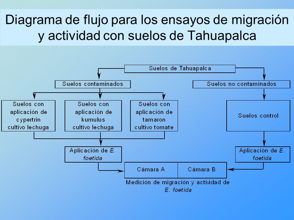 Diagrama de flujo para los ensayos de migración y actividad con suelos de Tahuapalca