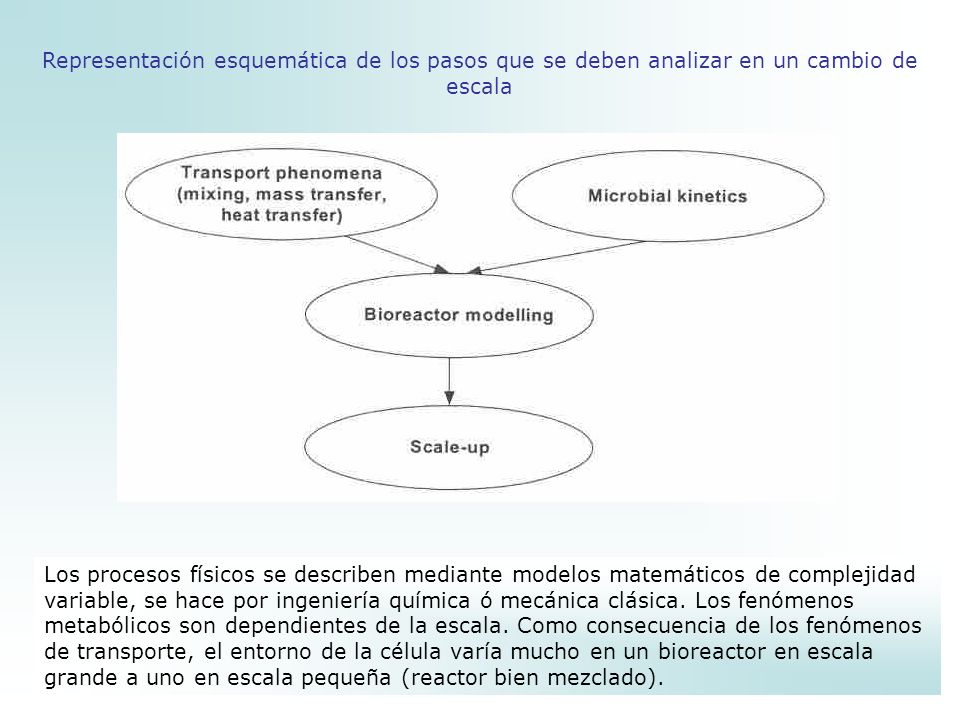 Representación esquemática de los pasos que se deben analizar en un cambio de escala
