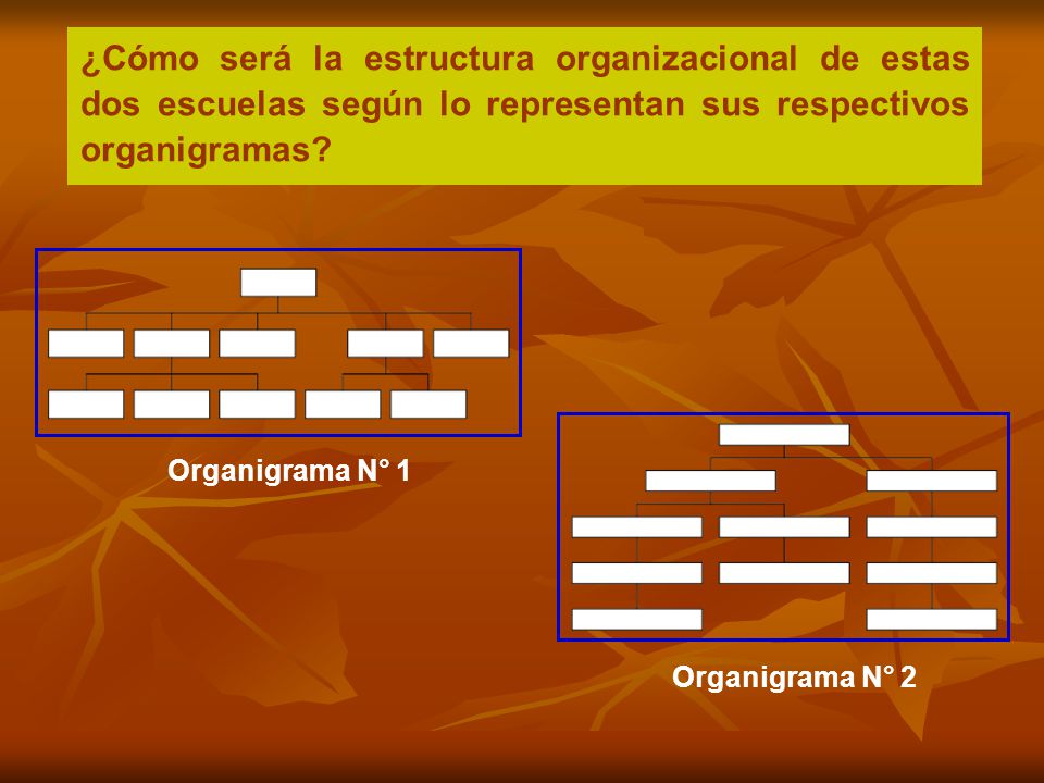 ¿Cómo será la estructura organizacional de estas dos escuelas según lo representan sus respectivos organigramas