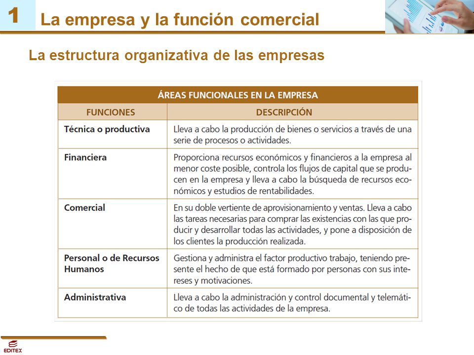 La estructura organizativa de las empresas