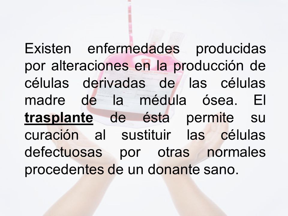 Existen enfermedades producidas por alteraciones en la producción de células derivadas de las células madre de la médula ósea.
