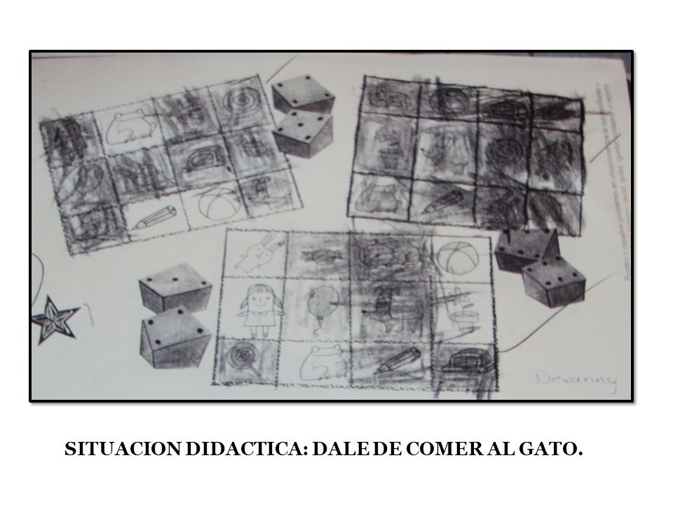 SITUACION DIDACTICA: DALE DE COMER AL GATO.