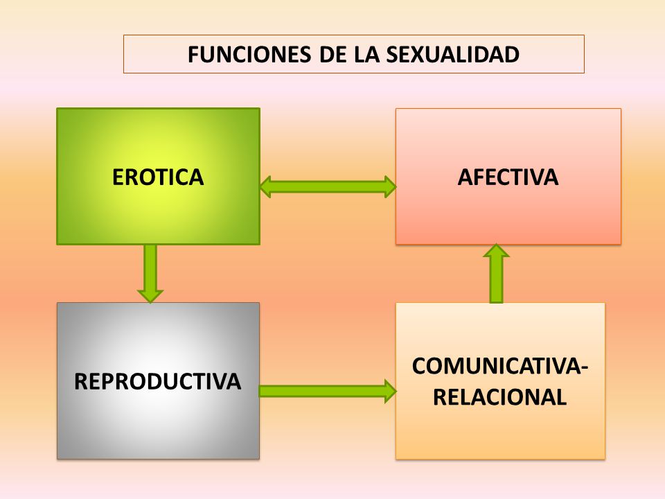 FUNCIONES DE LA SEXUALIDAD COMUNICATIVA-RELACIONAL