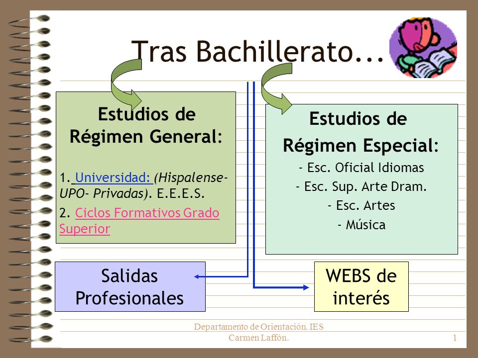 Tras Bachillerato... Estudios de Régimen General: Estudios de