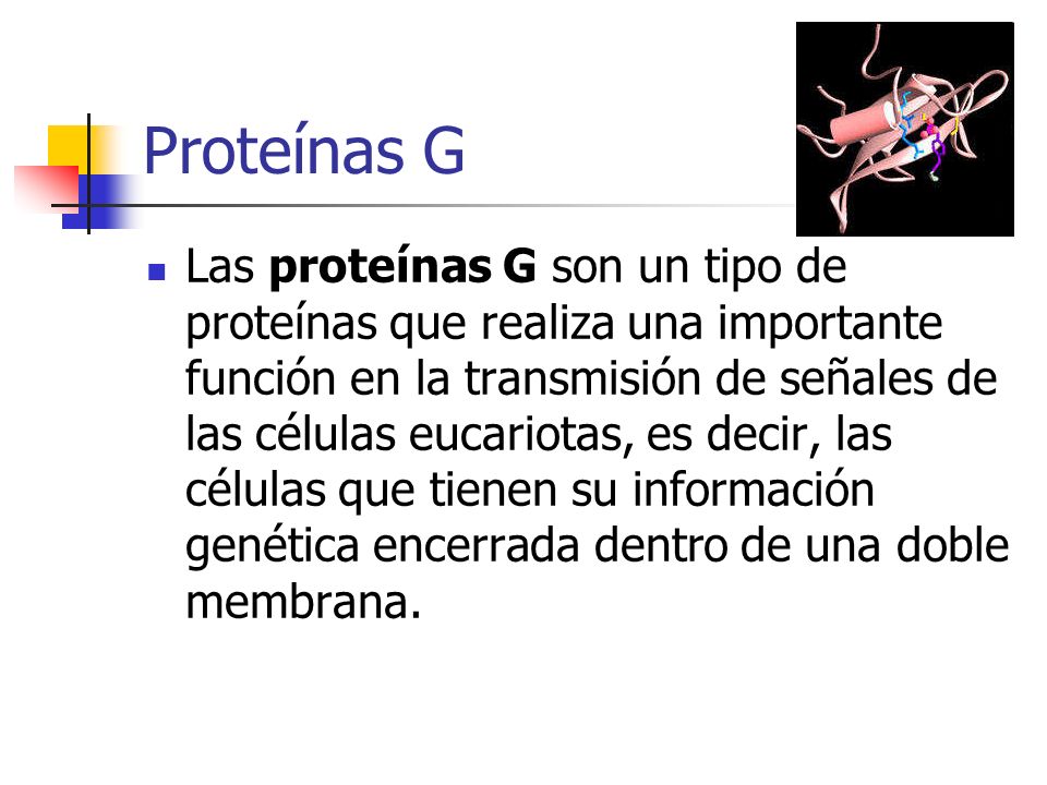 Proteínas G