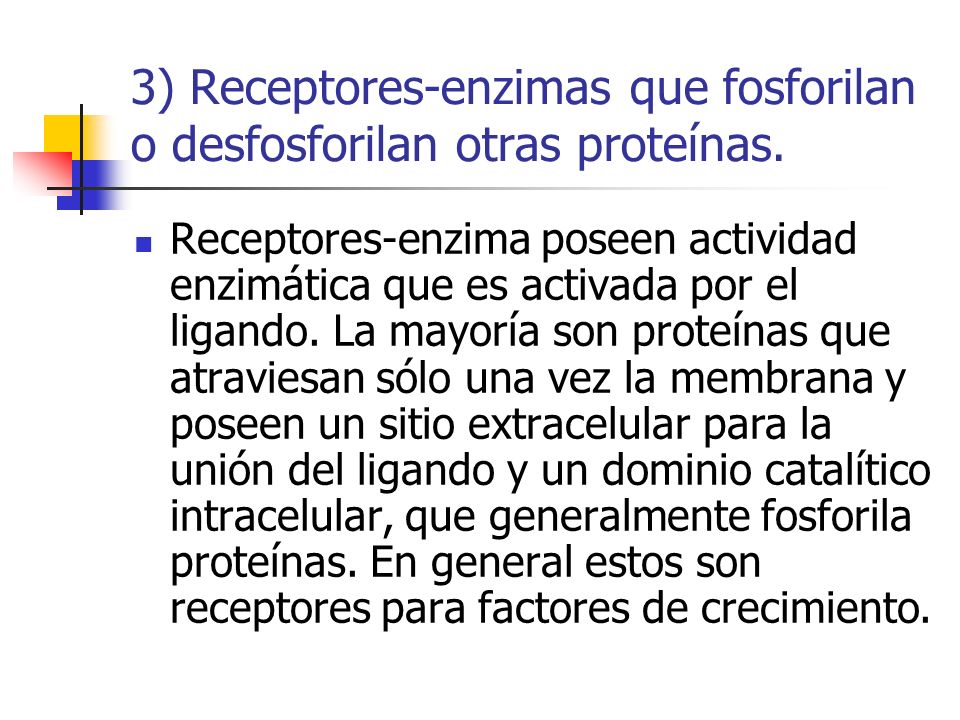 3) Receptores-enzimas que fosforilan o desfosforilan otras proteínas.