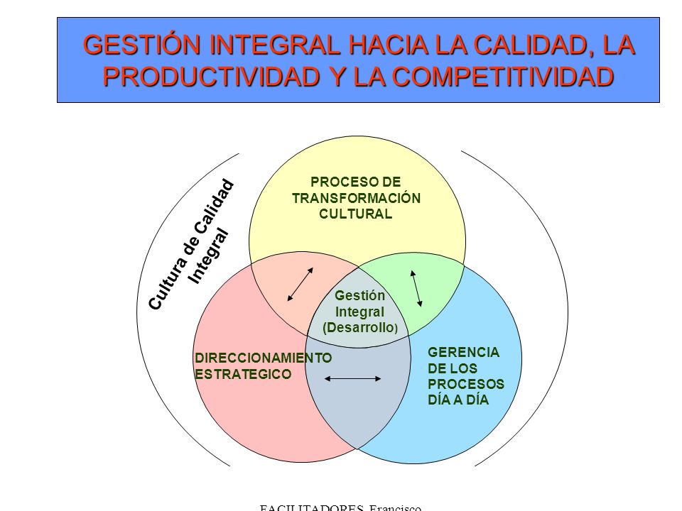 GESTIÓN INTEGRAL HACIA LA CALIDAD, LA PRODUCTIVIDAD Y LA COMPETITIVIDAD
