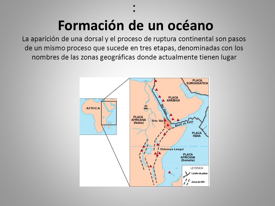 : Formación de un océano La aparición de una dorsal y el proceso de ruptura continental son pasos de un mismo proceso que sucede en tres etapas, denominadas con los nombres de las zonas geográficas donde actualmente tienen lugar