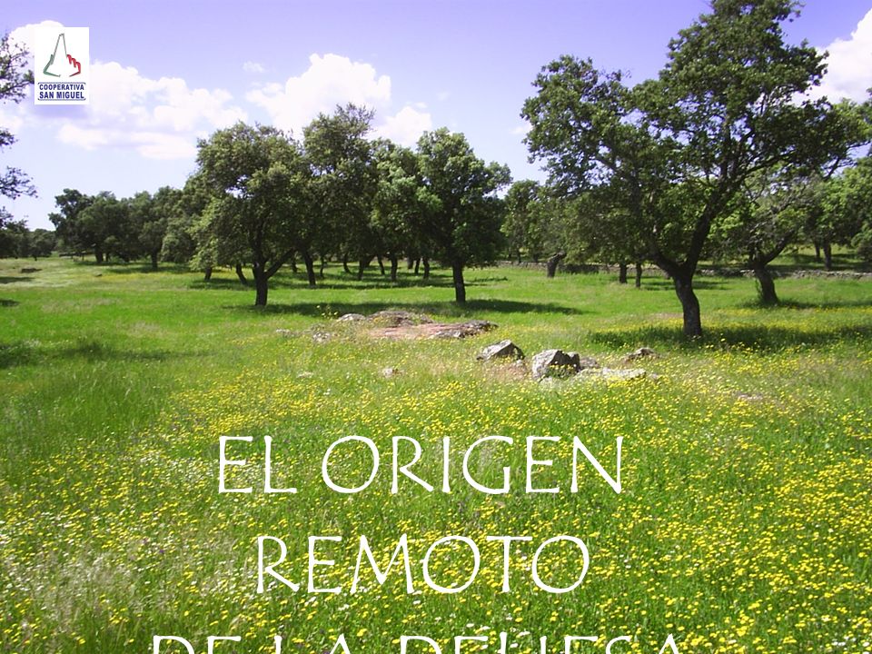 EL ORIGEN REMOTO DE LA DEHESA Juan palomo palomo