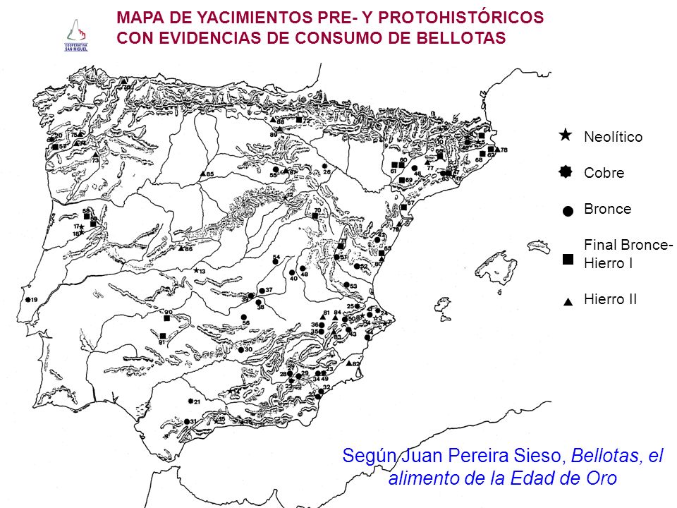 Según Juan Pereira Sieso, Bellotas, el alimento de la Edad de Oro