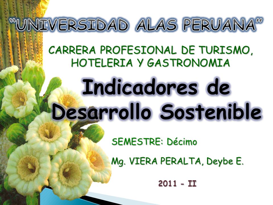 UNIVERSIDAD ALAS PERUANA Indicadores de Desarrollo Sostenible
