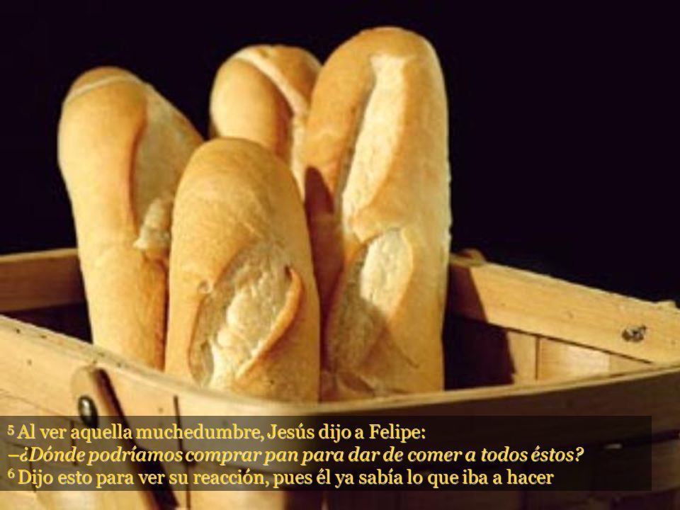 5 Al ver aquella muchedumbre, Jesús dijo a Felipe: –¿Dónde podríamos comprar pan para dar de comer a todos éstos.