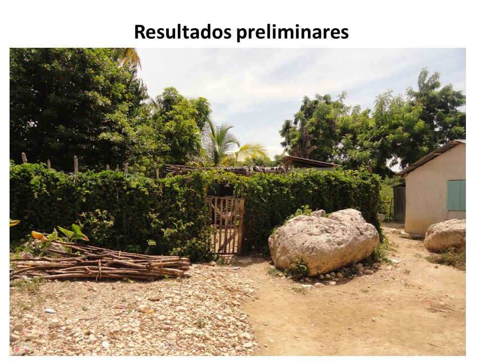 Resultados preliminares