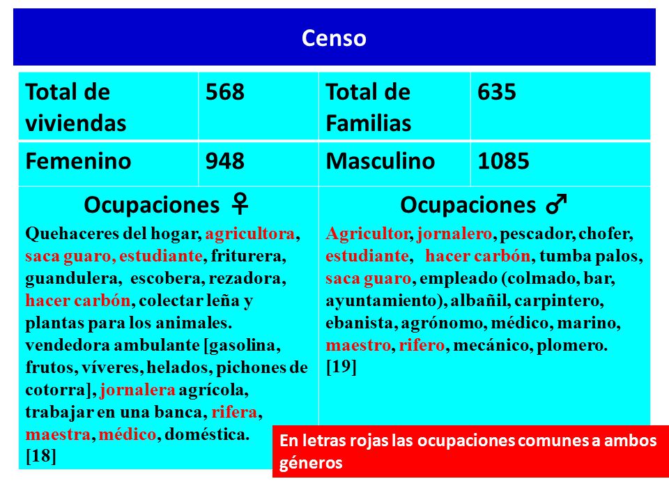 Censo Total de viviendas 568 Total de Familias 635 Femenino 948