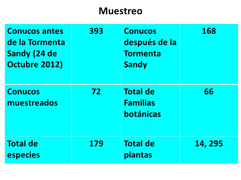 Muestreo Conucos antes de la Tormenta Sandy (24 de Octubre 2012) 393