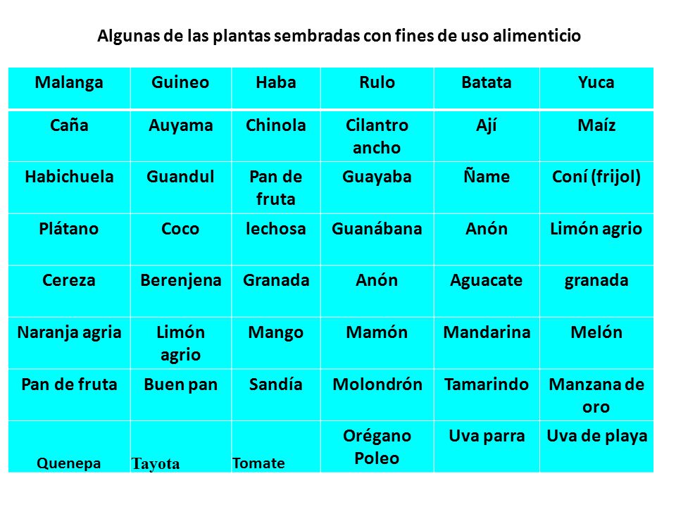 Algunas de las plantas sembradas con fines de uso alimenticio