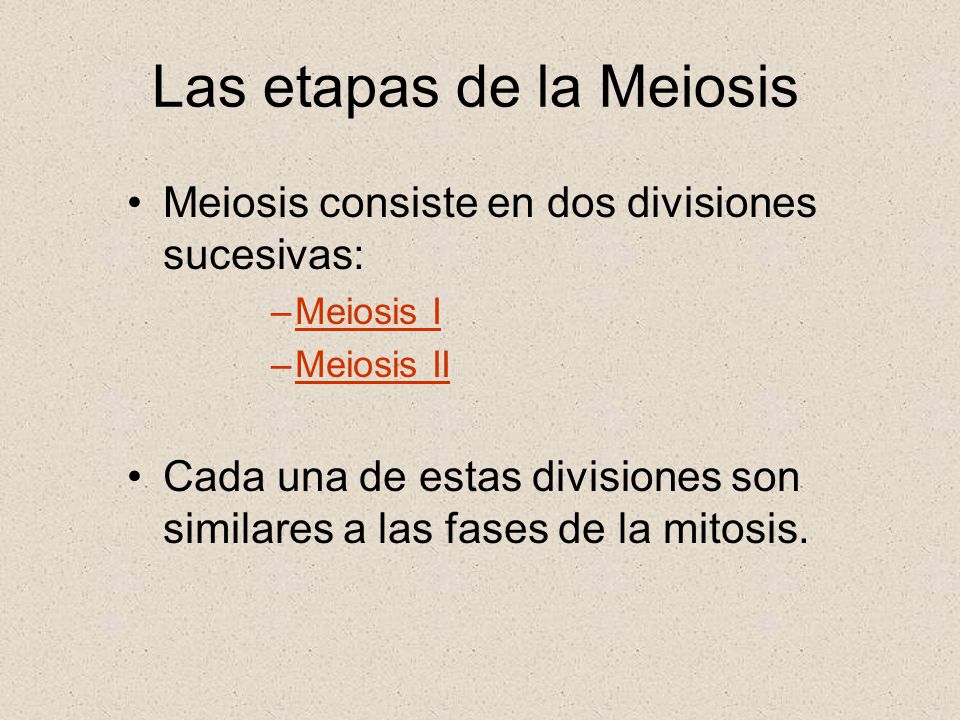 Las etapas de la Meiosis