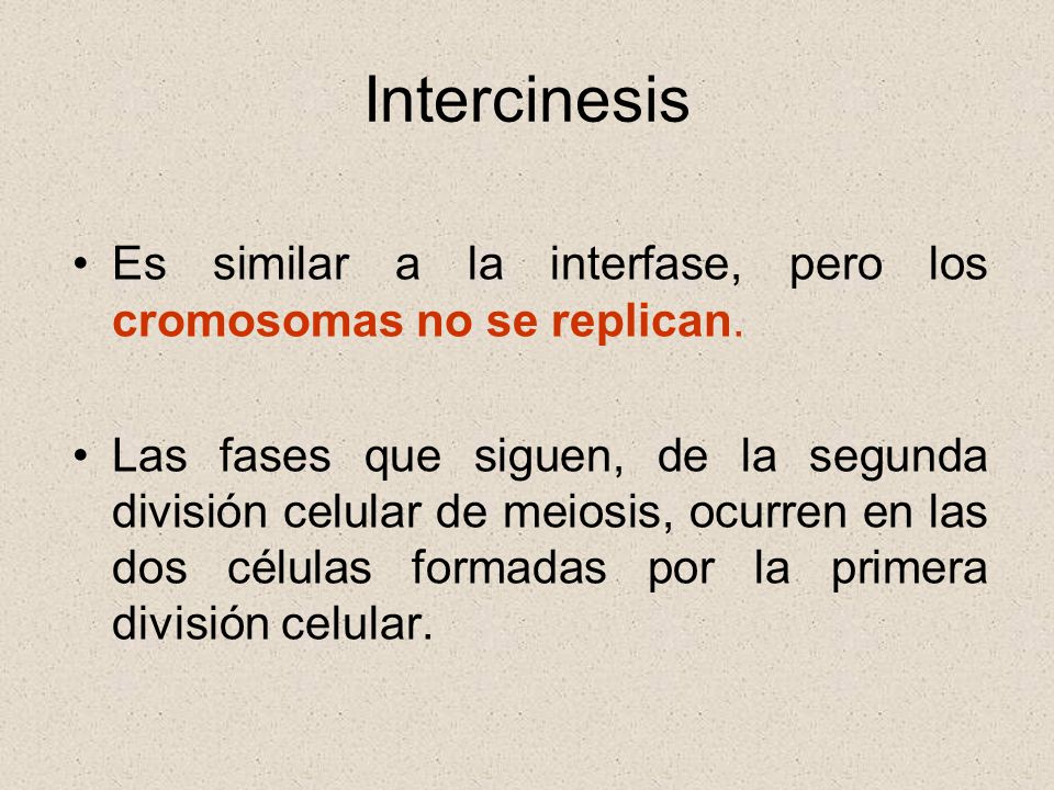 Intercinesis Es similar a la interfase, pero los cromosomas no se replican.