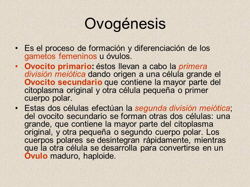 Ovogénesis Es el proceso de formación y diferenciación de los gametos femeninos u óvulos.