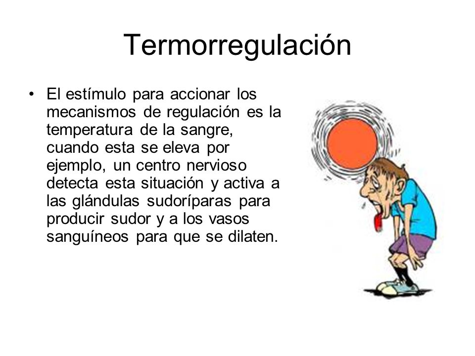 Termorregulación