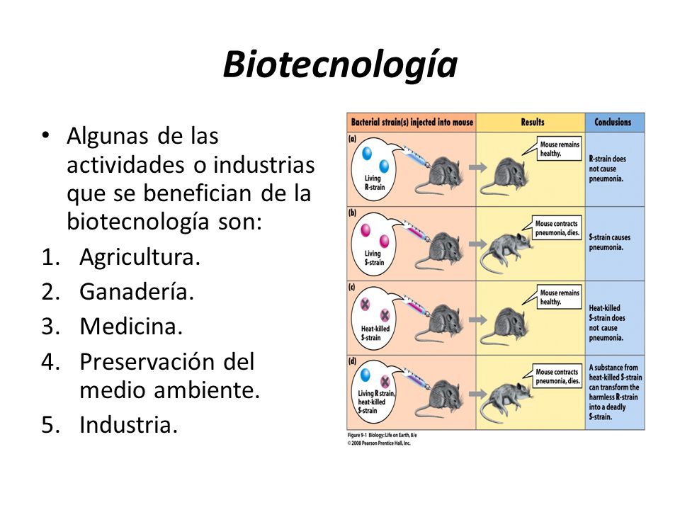 Biotecnología Algunas de las actividades o industrias que se benefician de la biotecnología son: Agricultura.