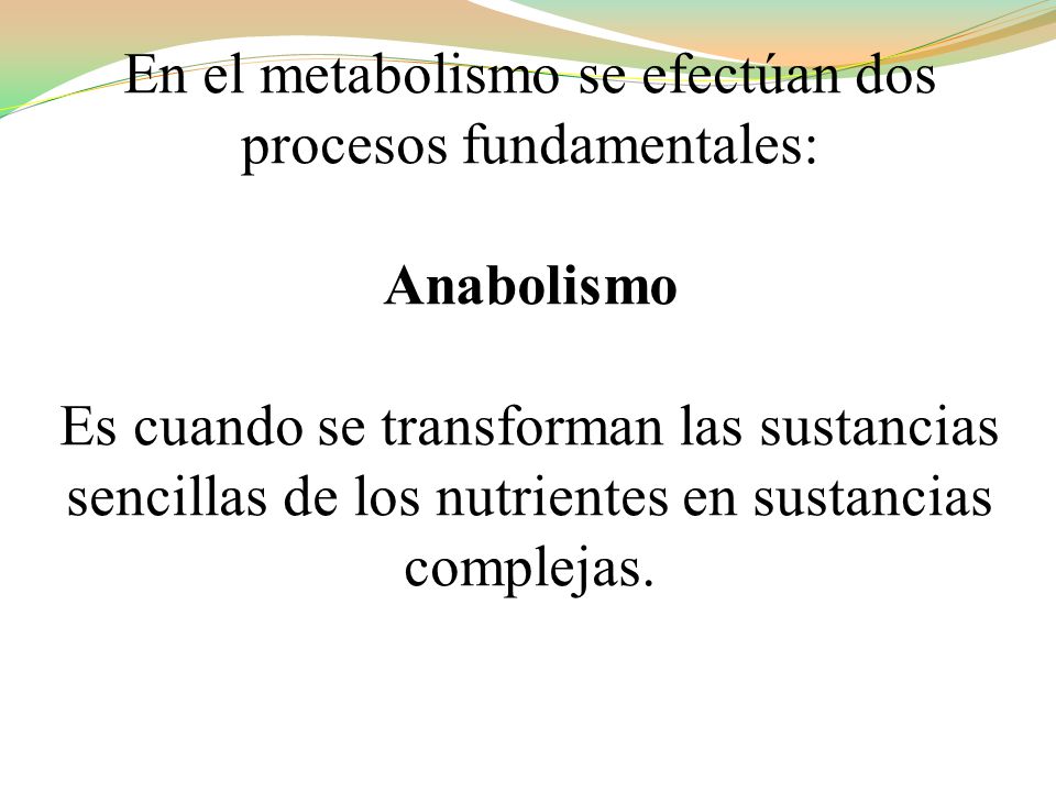 En el metabolismo se efectúan dos procesos fundamentales: